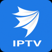 金槍魚tv電視版